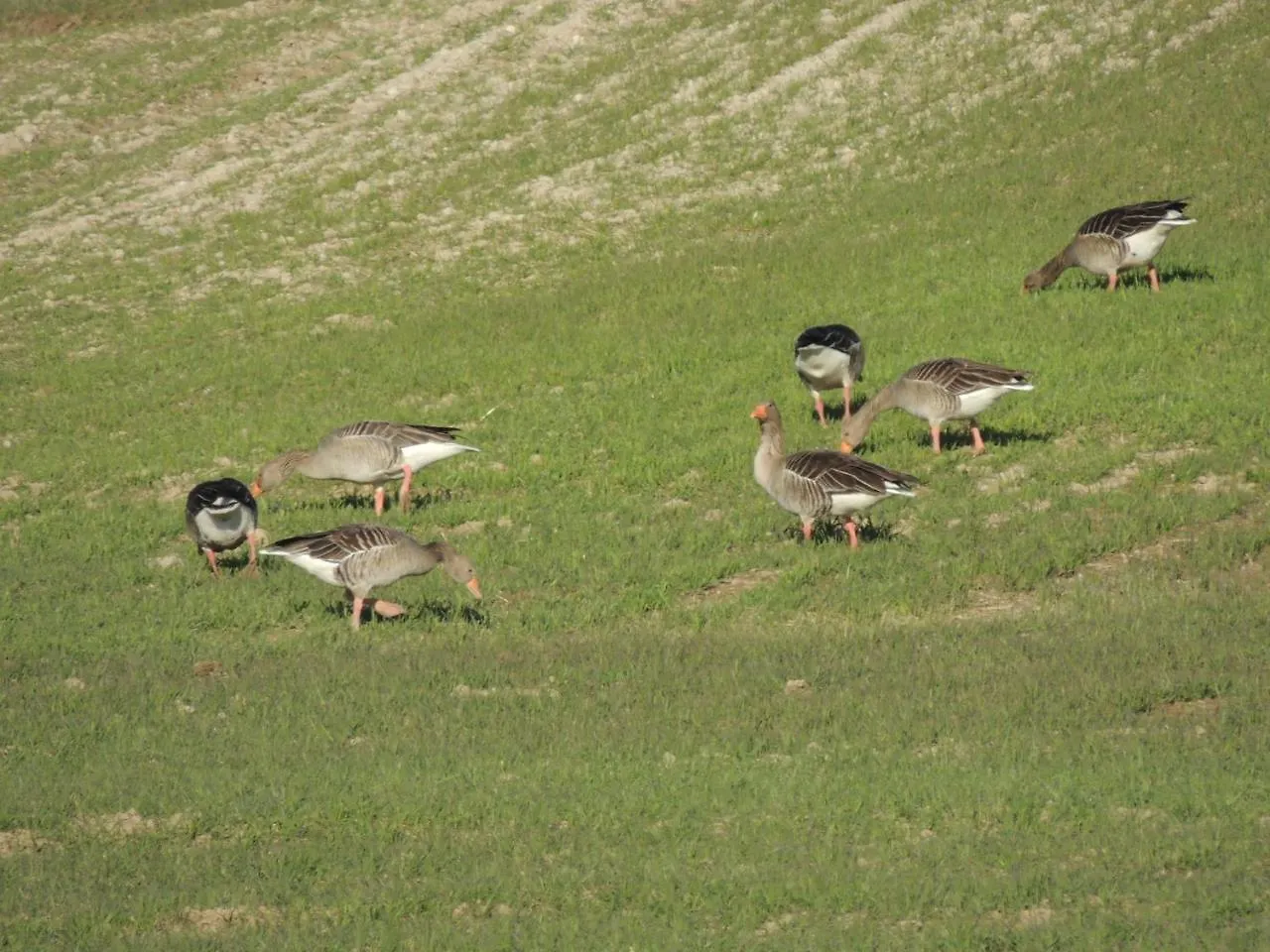 Penzion Mirador Ardea Mendixur Mendijur Venkovský dům